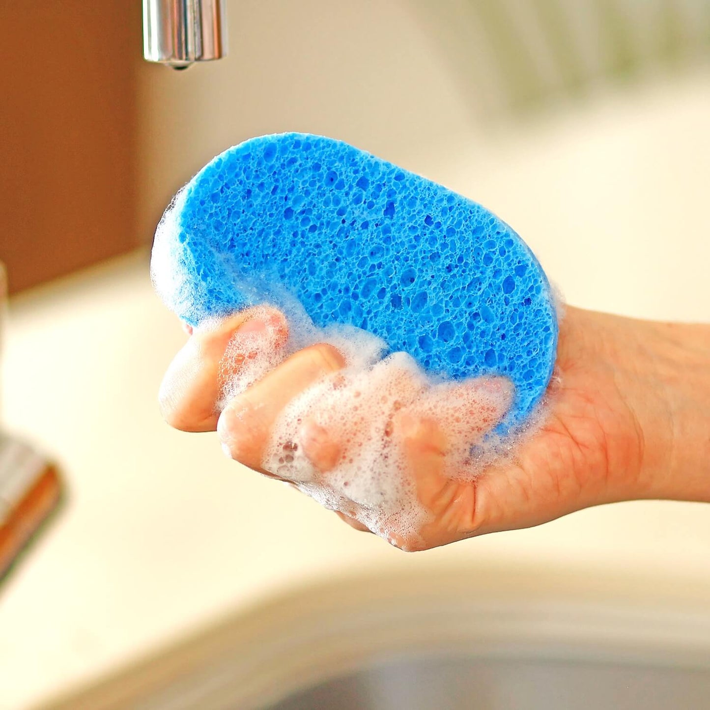 Cleaning Essentials (Blue)