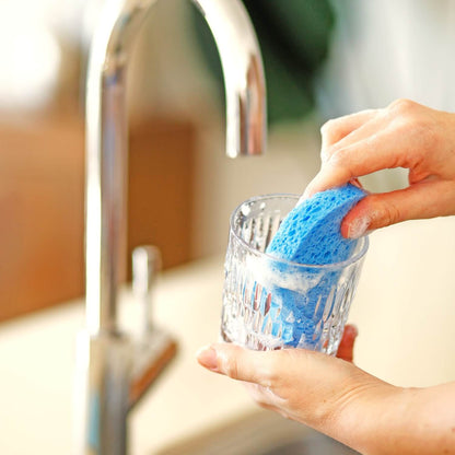 Cleaning Essentials (Blue)